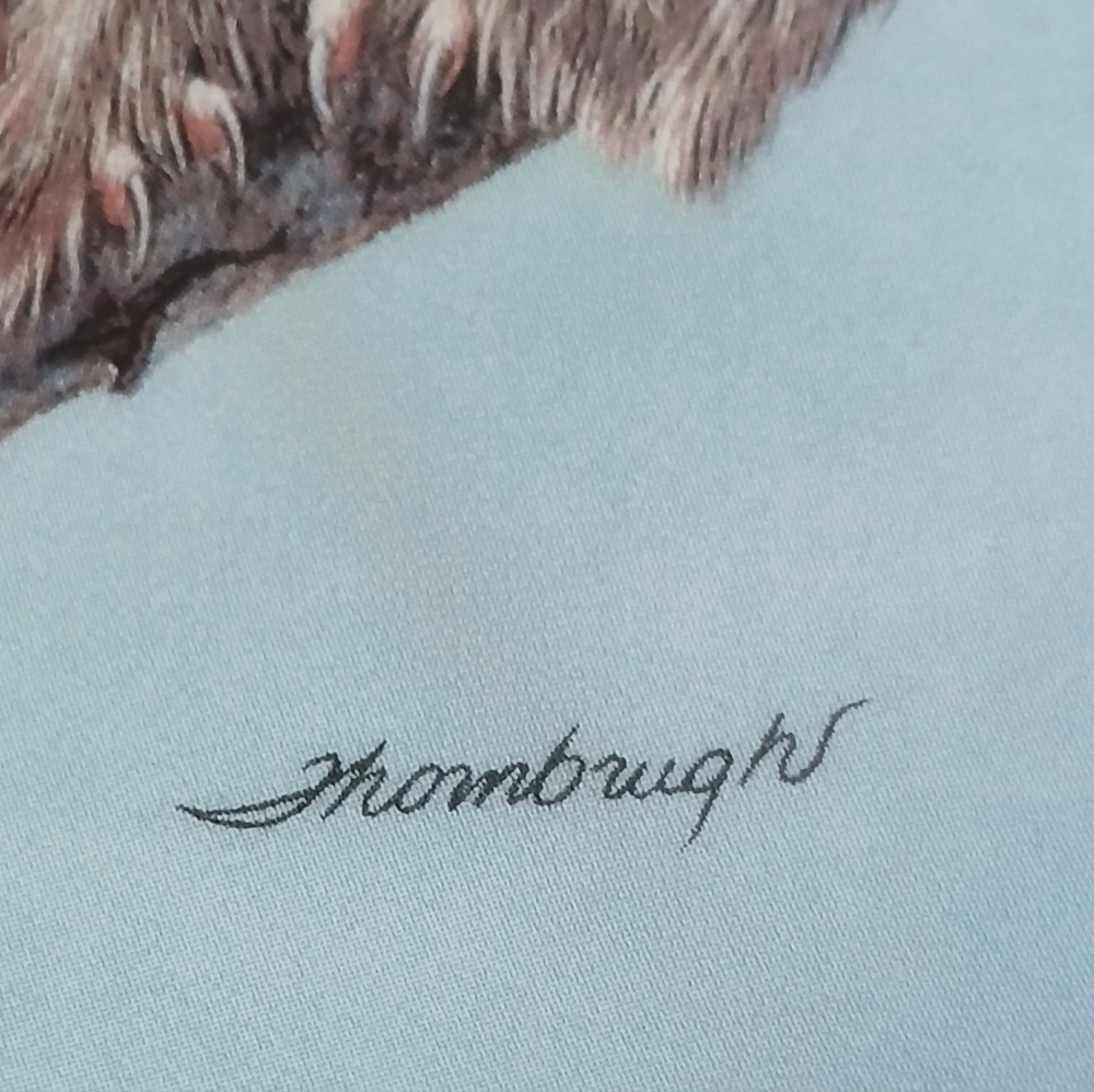 "Beginning To Explore" Boreal Owls | Signed | Limited Edition - Picture 4 of 5